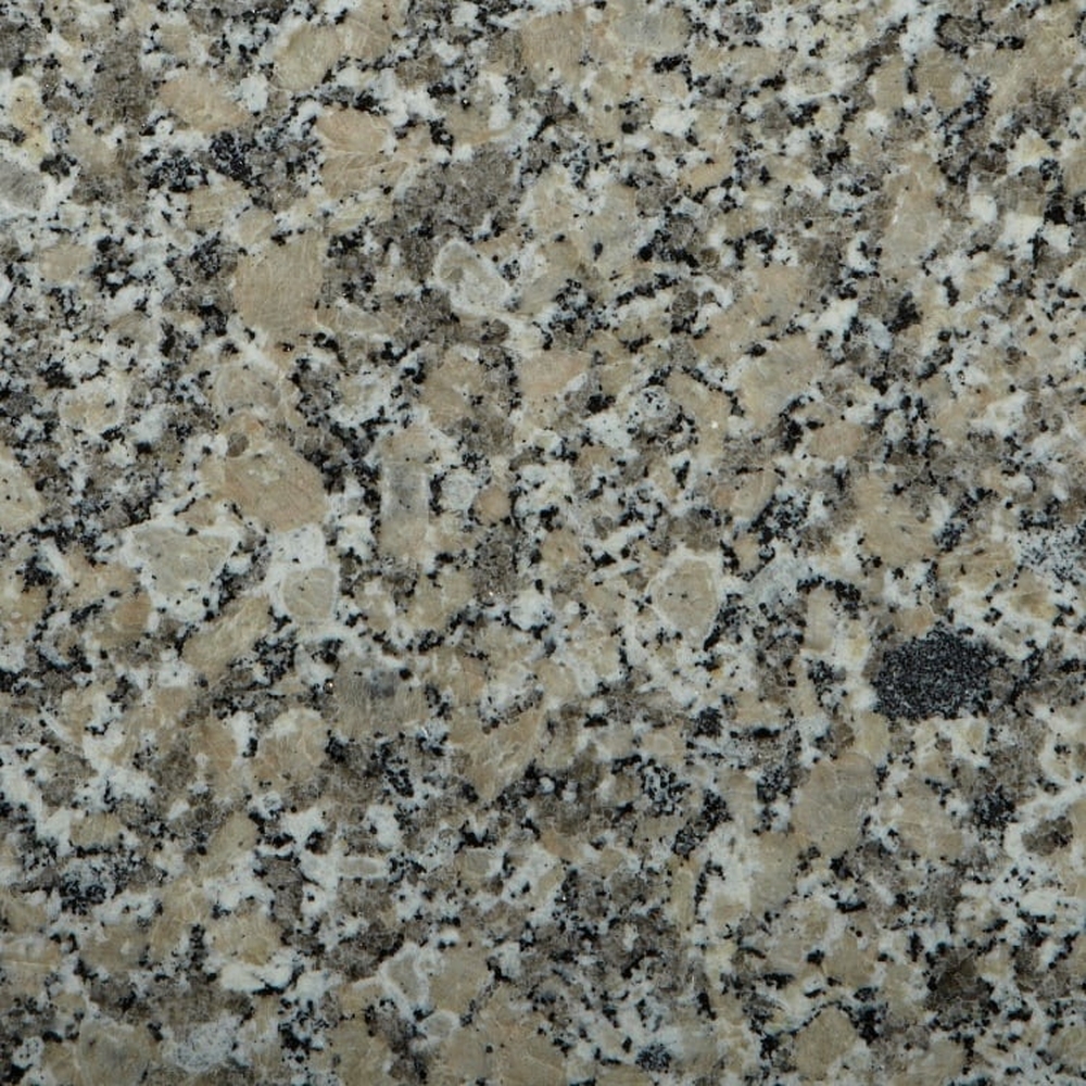 Square sample image of Barcelona granite