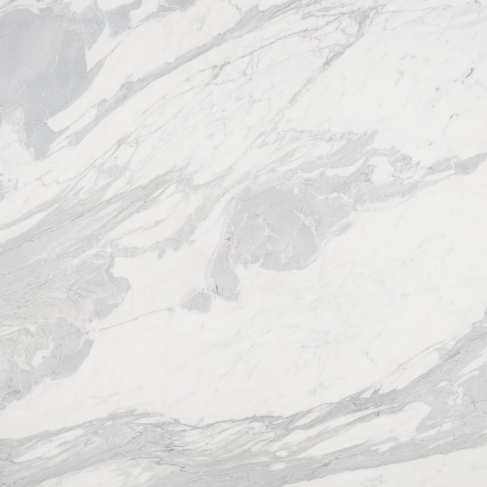 Square sample image of Calacatta Belgia marble