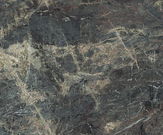 Sample image of Amazonico by Neolith