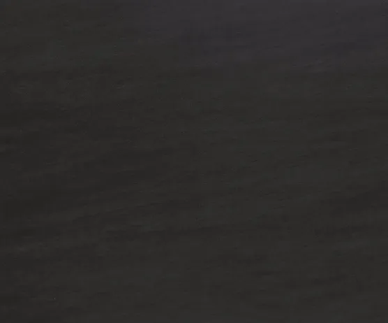 Sample image of Basalt Black by Neolith